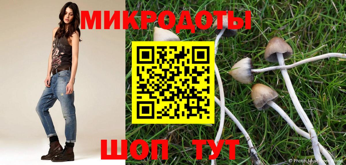 Псилоцибиновые грибы Magic Shrooms Менделеевск